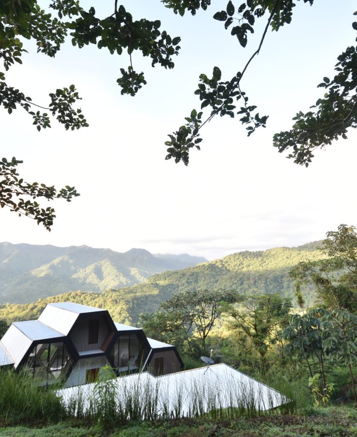 Airbnb surrounded by rainforest